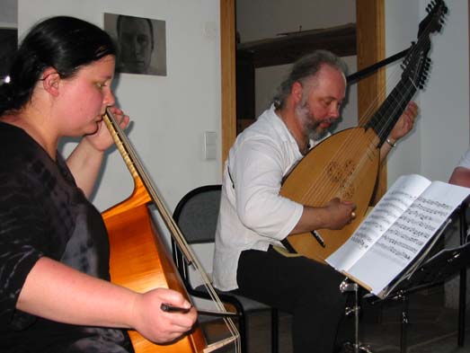 lady with viol