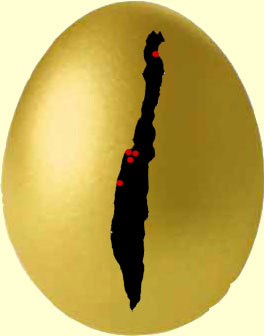 egg